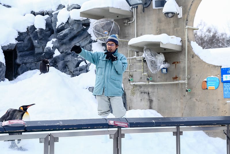 2020 到北海道千萬不要錯過!必訪!錯過會後悔的旭川動物園!!! - 第53張圖 IMG_6967-2