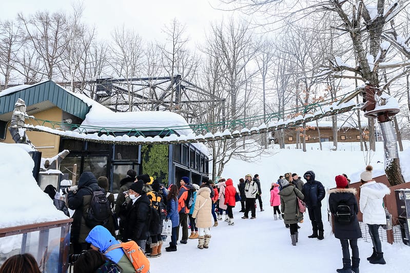 2020 到北海道千萬不要錯過!必訪!錯過會後悔的旭川動物園!!! - 第149張圖 IMG_7515-2