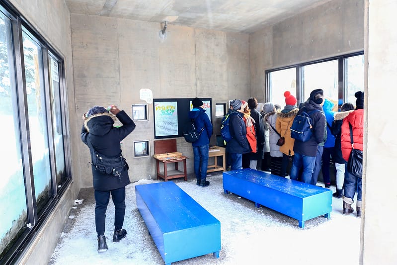 2020 到北海道千萬不要錯過!必訪!錯過會後悔的旭川動物園!!! - 第227張圖 IMG_7836-2