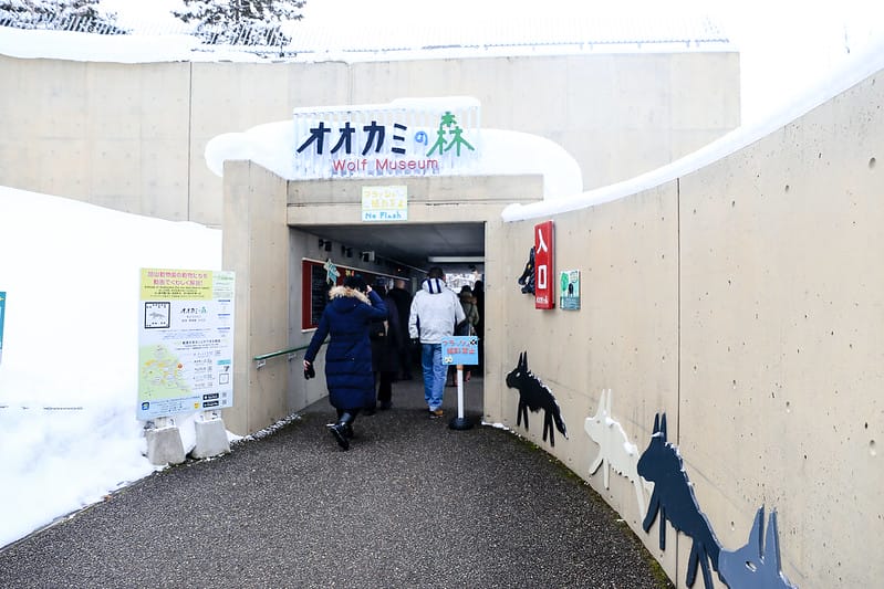 2020 到北海道千萬不要錯過!必訪!錯過會後悔的旭川動物園!!! - 第186張圖 IMG_7657-2