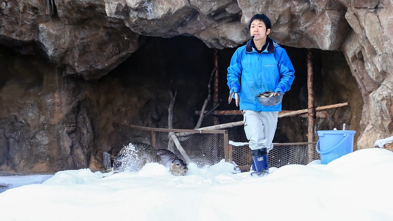2020 到北海道千萬不要錯過!必訪!錯過會後悔的旭川動物園!!! - 第104張圖 IMG_7236-2