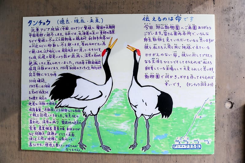 2020 到北海道千萬不要錯過!必訪!錯過會後悔的旭川動物園!!! - 第177張圖 IMG_7713-2