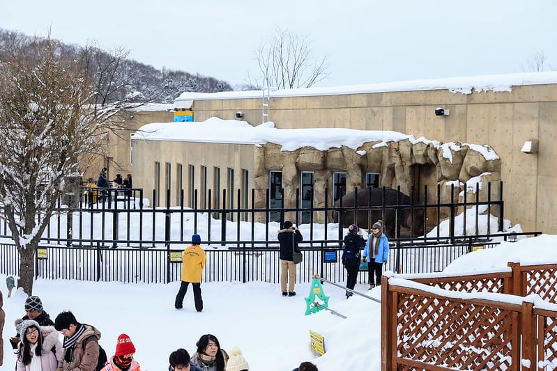 2020 到北海道千萬不要錯過!必訪!錯過會後悔的旭川動物園!!! - 第93張圖 IMG_7122-2