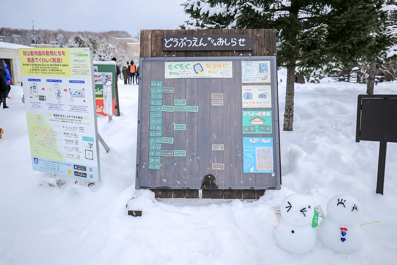 2020 到北海道千萬不要錯過!必訪!錯過會後悔的旭川動物園!!! - 第23張圖 IMG_6848-2