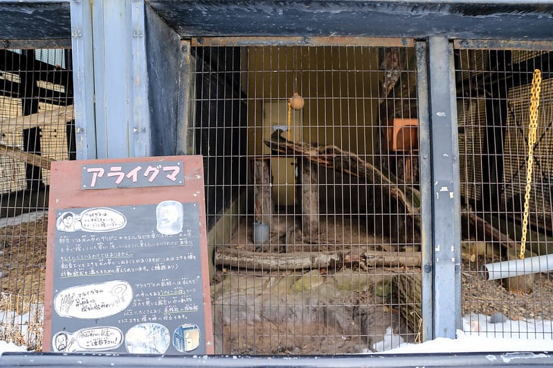 2020 到北海道千萬不要錯過!必訪!錯過會後悔的旭川動物園!!! - 第237張圖 IMG_7643-2
