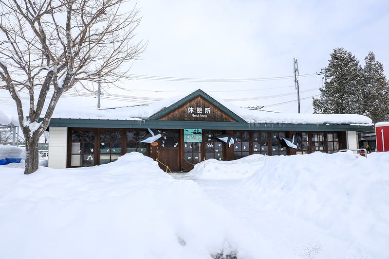 2020 到北海道千萬不要錯過!必訪!錯過會後悔的旭川動物園!!! - 第84張圖 IMG_6866-2