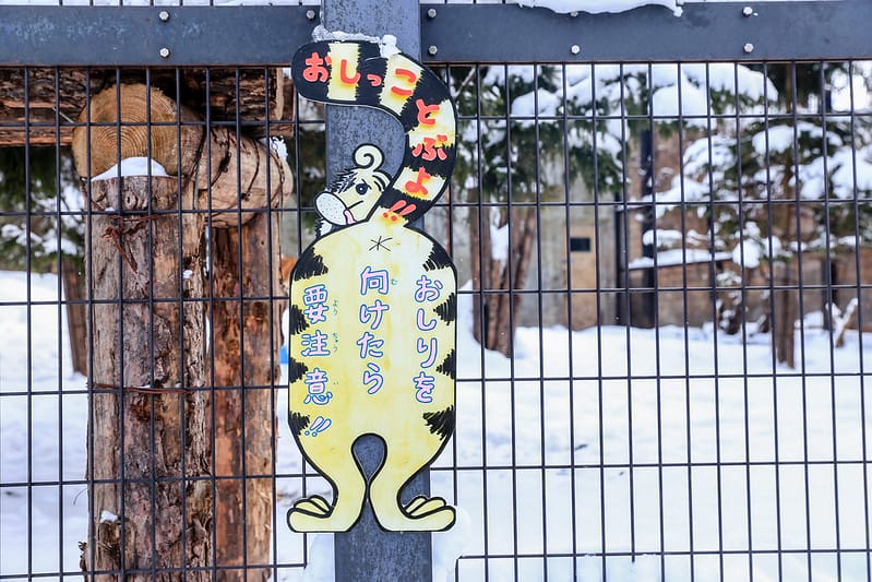2020 到北海道千萬不要錯過!必訪!錯過會後悔的旭川動物園!!! - 第231張圖 IMG_7847-2