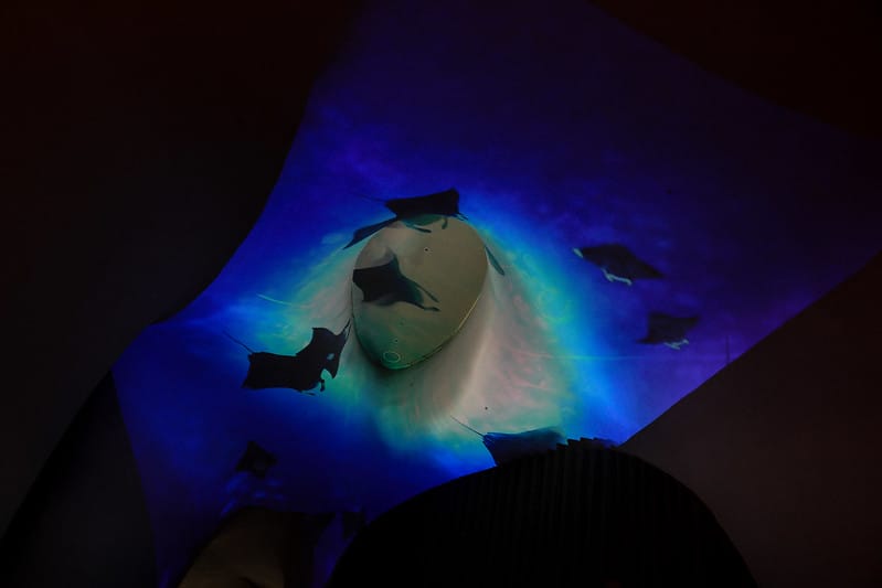 【西屯區/七期】國家歌劇院9/23-10/11限定夢幻光影秀「光之曲幕 T.A.P. Project」(圖。爆。多!) - 第99張圖 1J6A7845-2