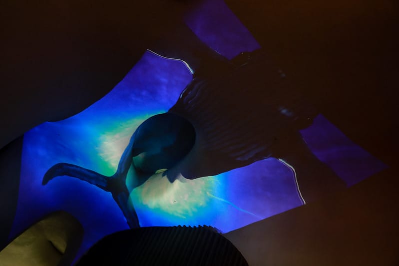 【西屯區/七期】國家歌劇院9/23-10/11限定夢幻光影秀「光之曲幕 T.A.P. Project」(圖。爆。多!) - 第109張圖 1J6A7863-2
