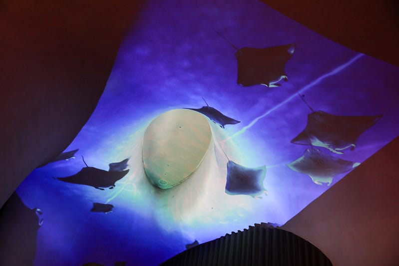 【西屯區/七期】國家歌劇院9/23-10/11限定夢幻光影秀「光之曲幕 T.A.P. Project」(圖。爆。多!) - 第116張圖 1J6A7876-2