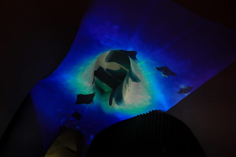 【西屯區/七期】國家歌劇院9/23-10/11限定夢幻光影秀「光之曲幕 T.A.P. Project」(圖。爆。多!) - 第100張圖 1J6A7846-2