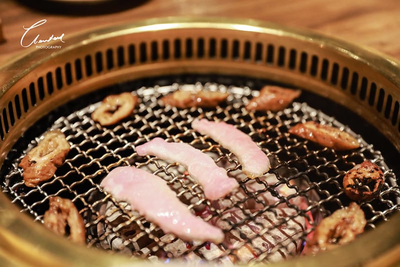 茶六