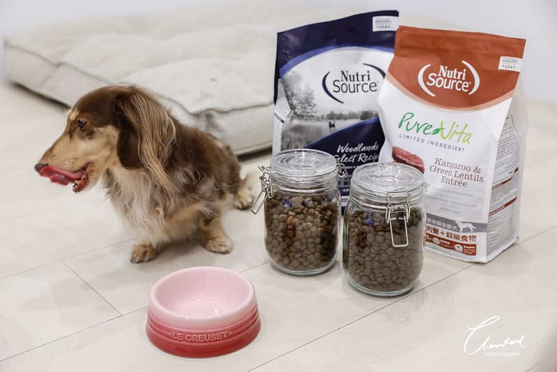 托托開箱榮獲WDJ推薦的 新萃NutriSource 天然狗糧 NS經典鮮肉系列/PV單一肉種系列 (品牌邀約) - 第15張圖 1J6A3885-2拷貝