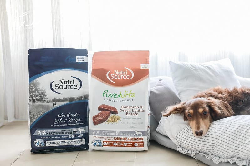 托托開箱榮獲WDJ推薦的 新萃NutriSource 天然狗糧 NS經典鮮肉系列/PV單一肉種系列 (品牌邀約) - 第4張圖 1J6A3760-2拷貝
