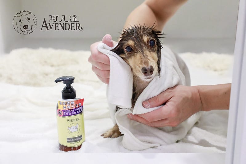 托托開箱AVENDER 阿凡達蓬鬆洗毛精、犬用潔牙凝膠(牛肉口味)、阿凡達狗貓抗菌濕巾 - 第2張圖 封面3
