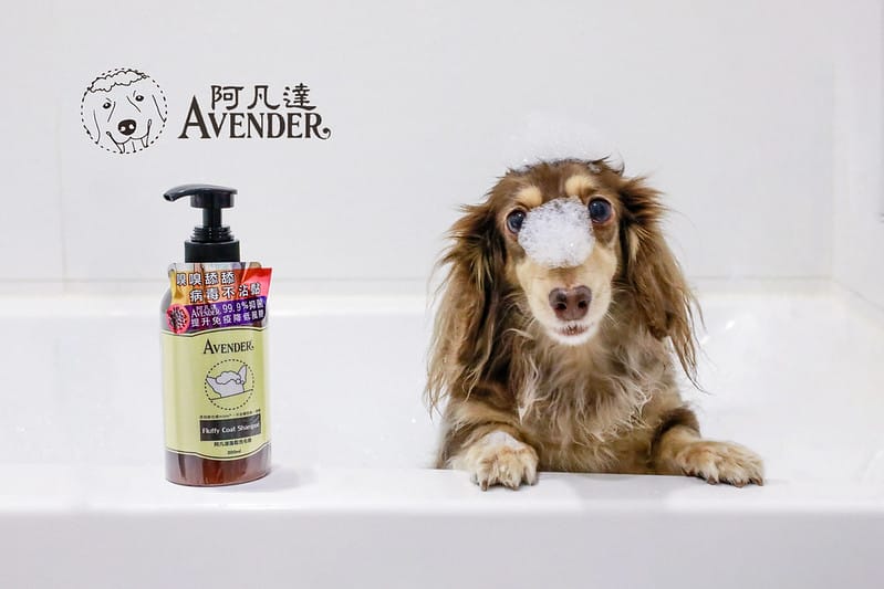 托托開箱AVENDER 阿凡達蓬鬆洗毛精、犬用潔牙凝膠(牛肉口味)、阿凡達狗貓抗菌濕巾 - 第1張圖 封面2
