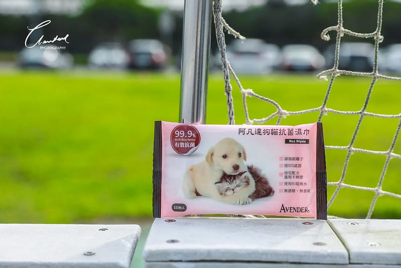 托托開箱AVENDER 阿凡達蓬鬆洗毛精、犬用潔牙凝膠(牛肉口味)、阿凡達狗貓抗菌濕巾 - 第36張圖 1J6A5432-2拷貝