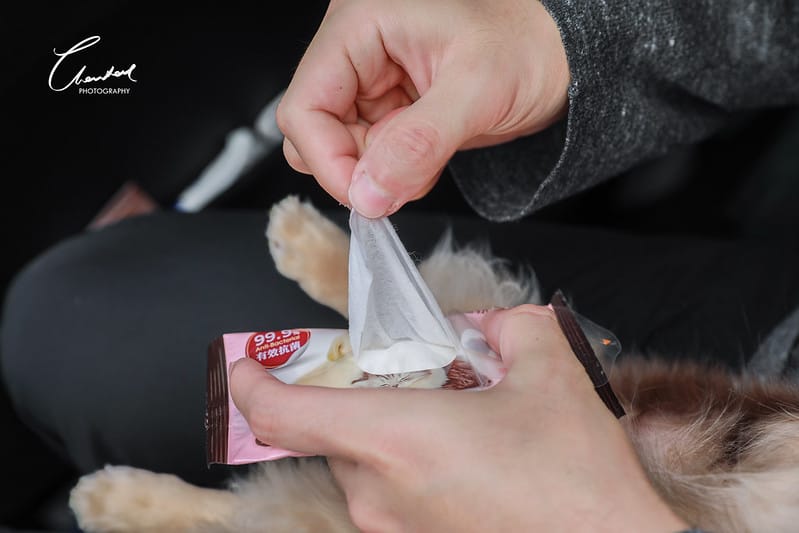 托托開箱AVENDER 阿凡達蓬鬆洗毛精、犬用潔牙凝膠(牛肉口味)、阿凡達狗貓抗菌濕巾 - 第38張圖 1J6A5446-2拷貝