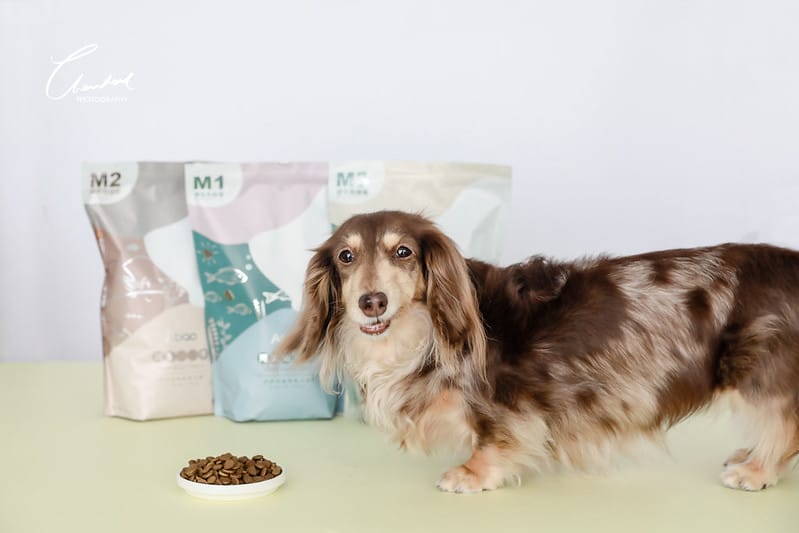 托托開箱既可愛又吃得安心,一試成粉絲的 ABAO。阿寶 寵物拌飯、肉鬆、台式熱炒鮮食系列(廠商邀約) - 第39張圖 1J6A0230-2拷貝