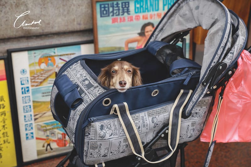 【中區/台中車站】老物控的最愛 第15回 JOWO Market 舊物盛典 (攻略介紹心得分享戰利品分享)(圖多) - 第33張圖 1J6A8621-2拷貝