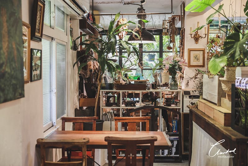【信義區/市政府站】COTD之城市裡的小綠洲,小青苑 Cyan Cafe帶你瞬間走到叢林裡 - 第7張圖 1J6A9669-2拷貝