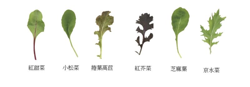 截圖 2021-06-10 上午3.23.04