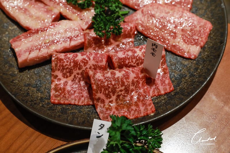 1J6A9773-2拷貝-2 拷貝