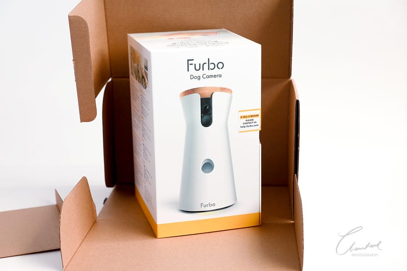托托開箱Furbo狗狗攝影機,讓你在哪都可以拉近與毛寶貝的距離 (廠商邀約) - 第6張圖 1J6A2213-2 拷貝