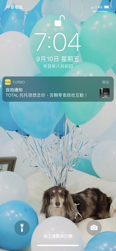 托托開箱Furbo狗狗攝影機,讓你在哪都可以拉近與毛寶貝的距離 (廠商邀約) - 第52張圖 IMG_9063