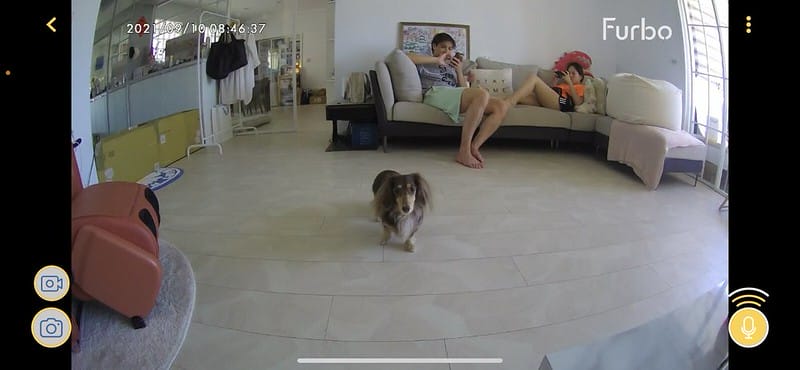 托托開箱Furbo狗狗攝影機,讓你在哪都可以拉近與毛寶貝的距離 (廠商邀約) - 第59張圖 IMG_8944