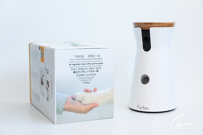 托托開箱Furbo狗狗攝影機,讓你在哪都可以拉近與毛寶貝的距離 (廠商邀約) - 第8張圖 1J6A2274-2 拷貝