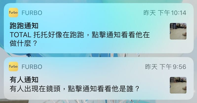 托托開箱Furbo狗狗攝影機,讓你在哪都可以拉近與毛寶貝的距離 (廠商邀約) - 第51張圖 IMG_9608 拷貝