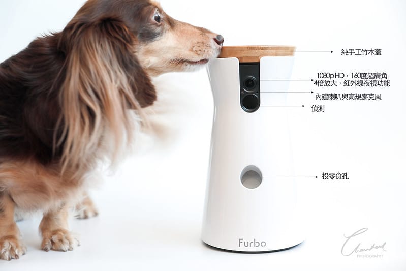 托托開箱Furbo狗狗攝影機,讓你在哪都可以拉近與毛寶貝的距離 (廠商邀約) - 第13張圖 1J6A2264-2 拷貝