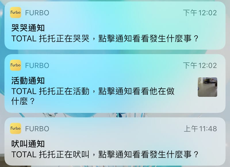 托托開箱Furbo狗狗攝影機,讓你在哪都可以拉近與毛寶貝的距離 (廠商邀約) - 第49張圖 IMG_9607 拷貝