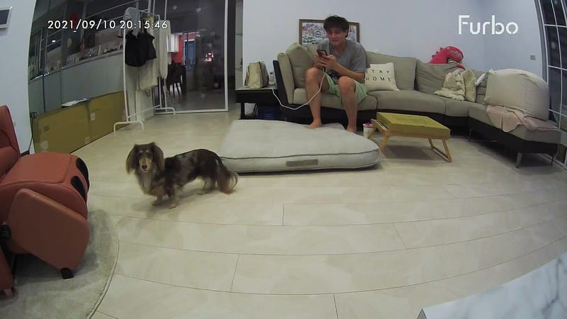 托托開箱Furbo狗狗攝影機,讓你在哪都可以拉近與毛寶貝的距離 (廠商邀約) - 第69張圖 IMG_9073