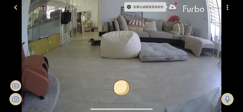 托托開箱Furbo狗狗攝影機,讓你在哪都可以拉近與毛寶貝的距離 (廠商邀約) - 第63張圖 IMG_8968