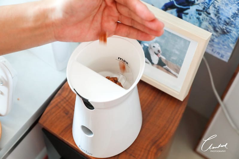 托托開箱Furbo狗狗攝影機,讓你在哪都可以拉近與毛寶貝的距離 (廠商邀約) - 第23張圖 1J6A2322-2 拷貝