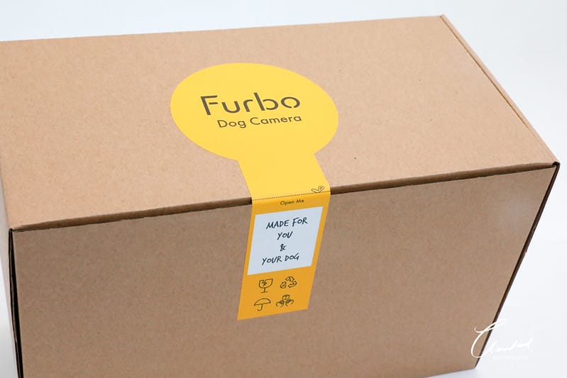 托托開箱Furbo狗狗攝影機,讓你在哪都可以拉近與毛寶貝的距離 (廠商邀約) - 第5張圖 1J6A2044-2 拷貝