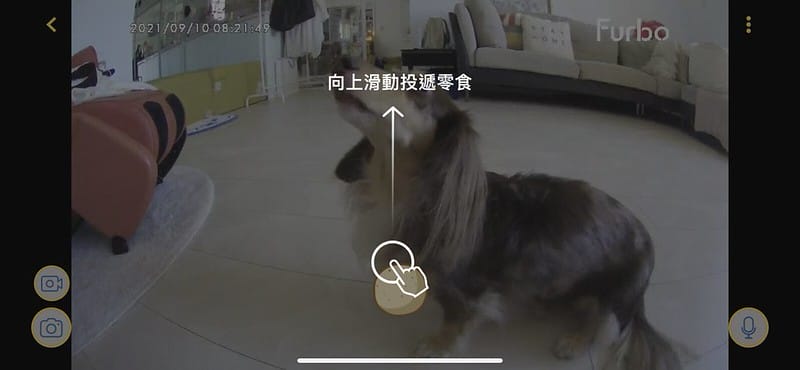 托托開箱Furbo狗狗攝影機,讓你在哪都可以拉近與毛寶貝的距離 (廠商邀約) - 第24張圖 IMG_8906