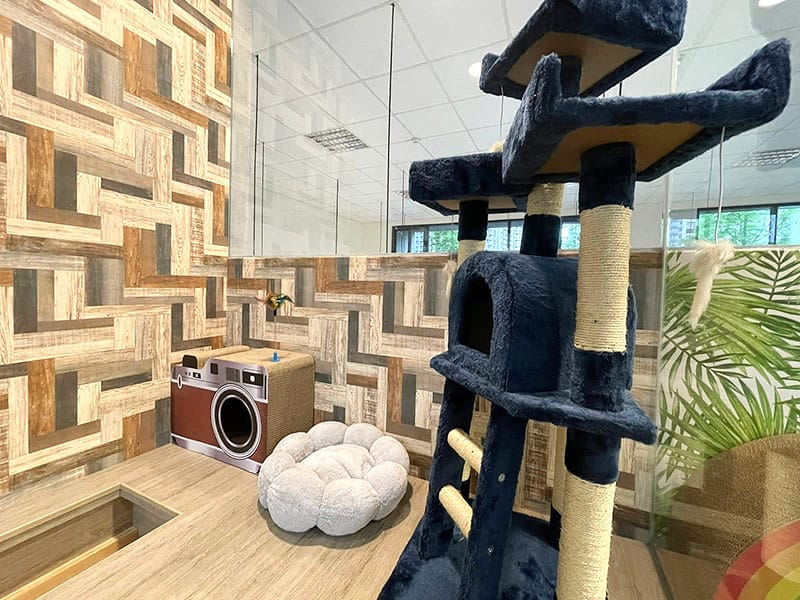 【中壢/住宿】外出遊玩、出國的好選擇 Halo!PET HOTEL 嗨比寵物旅館 (安親、精品、寵物美容) - 第28張圖 0601-03