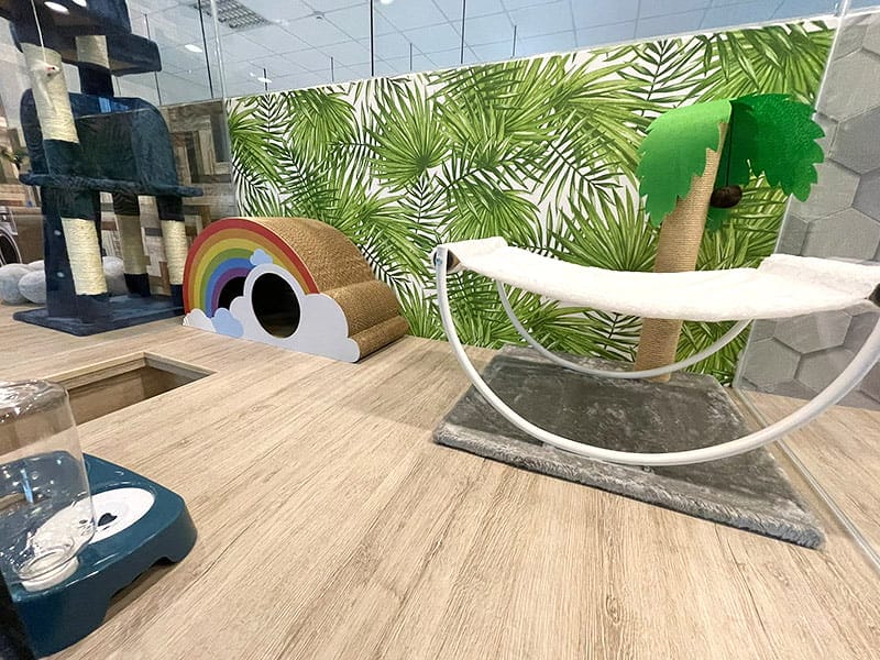 【中壢/住宿】外出遊玩、出國的好選擇 Halo!PET HOTEL 嗨比寵物旅館 (安親、精品、寵物美容) - 第31張圖 0601-08