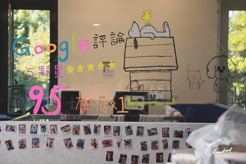 【中壢/住宿】外出遊玩、出國的好選擇 Halo!PET HOTEL 嗨比寵物旅館 (安親、精品、寵物美容) - 第5張圖 1J6A8533-2 拷貝