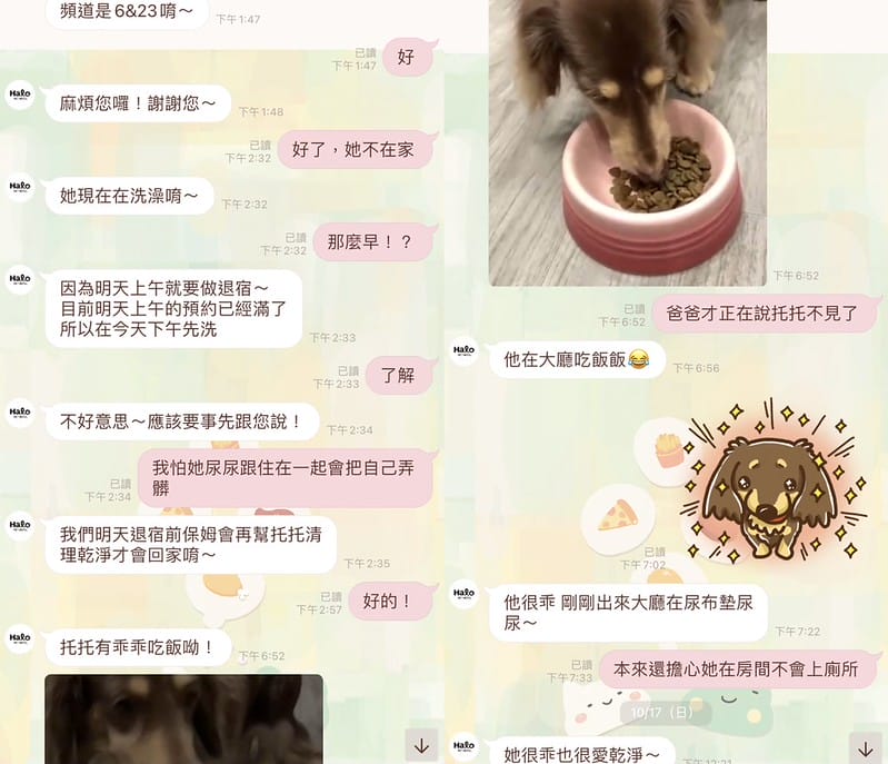 【中壢/住宿】外出遊玩、出國的好選擇 Halo!PET HOTEL 嗨比寵物旅館 (安親、精品、寵物美容) - 第35張圖 IMG_2636