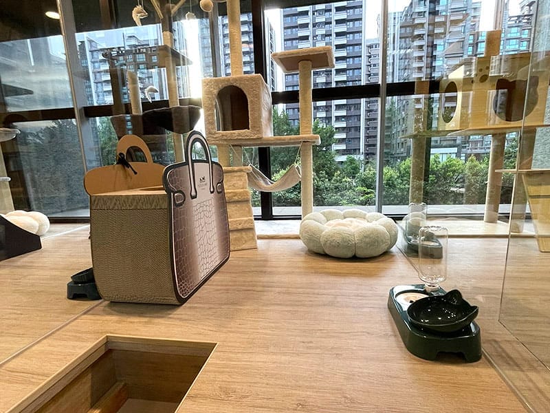 【中壢/住宿】外出遊玩、出國的好選擇 Halo!PET HOTEL 嗨比寵物旅館 (安親、精品、寵物美容) - 第29張圖 0601-05