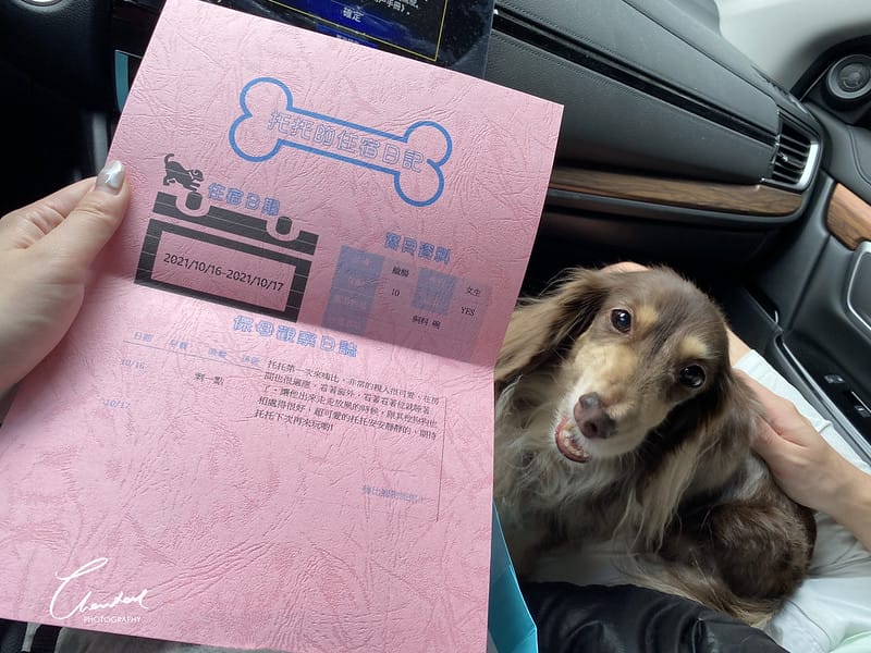 【中壢/住宿】外出遊玩、出國的好選擇 Halo!PET HOTEL 嗨比寵物旅館 (安親、精品、寵物美容) - 第37張圖 IMG_2345 拷貝 2