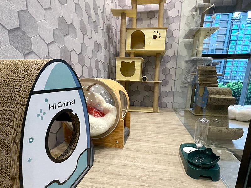 【中壢/住宿】外出遊玩、出國的好選擇 Halo!PET HOTEL 嗨比寵物旅館 (安親、精品、寵物美容) - 第27張圖 0601-02