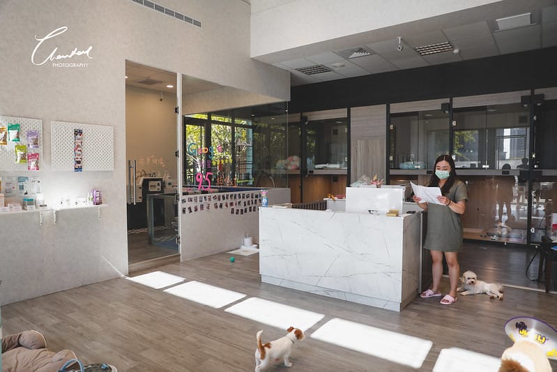 【中壢/住宿】外出遊玩、出國的好選擇 Halo!PET HOTEL 嗨比寵物旅館 (安親、精品、寵物美容) - 第2張圖 1J6A8493-2 拷貝