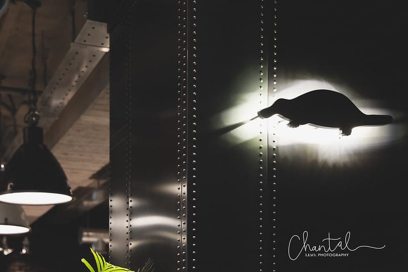 【內湖區/陽光街】COTD 咖啡日嚐之用黑色元素拼接起來的 THE PLATYPUS CAFE 鴨嘴獸咖啡2店 (圖多) - 第3張圖 1J6A9931-2 拷貝