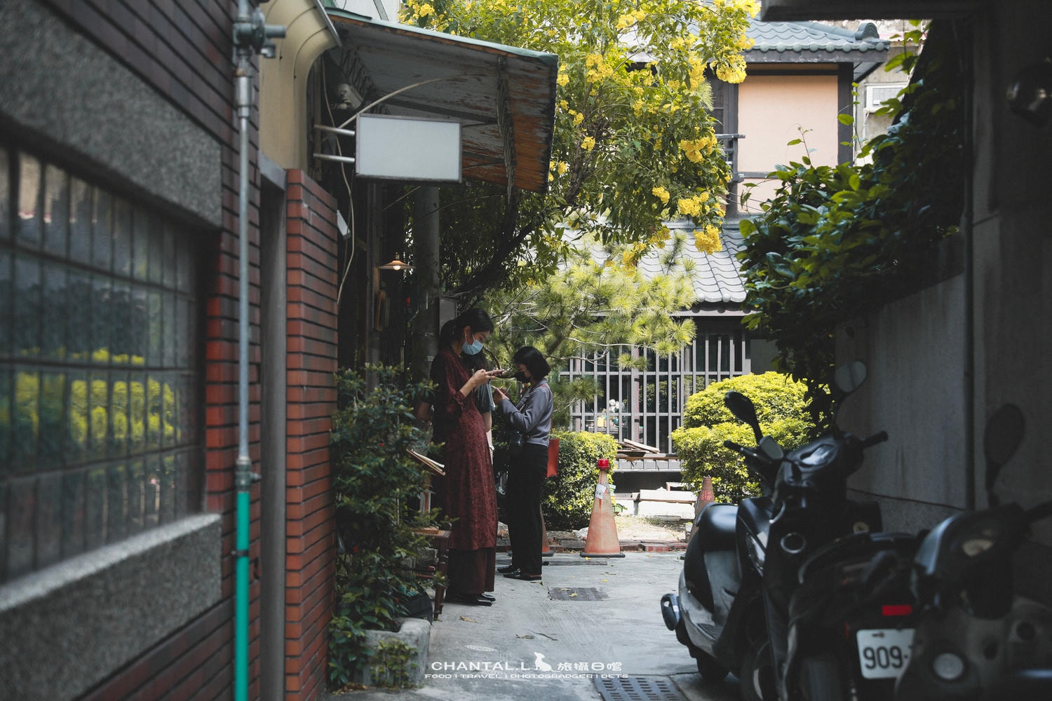 【中西區/咖啡店】排隊也要等的老宅喫茶店-島鹿喫茶