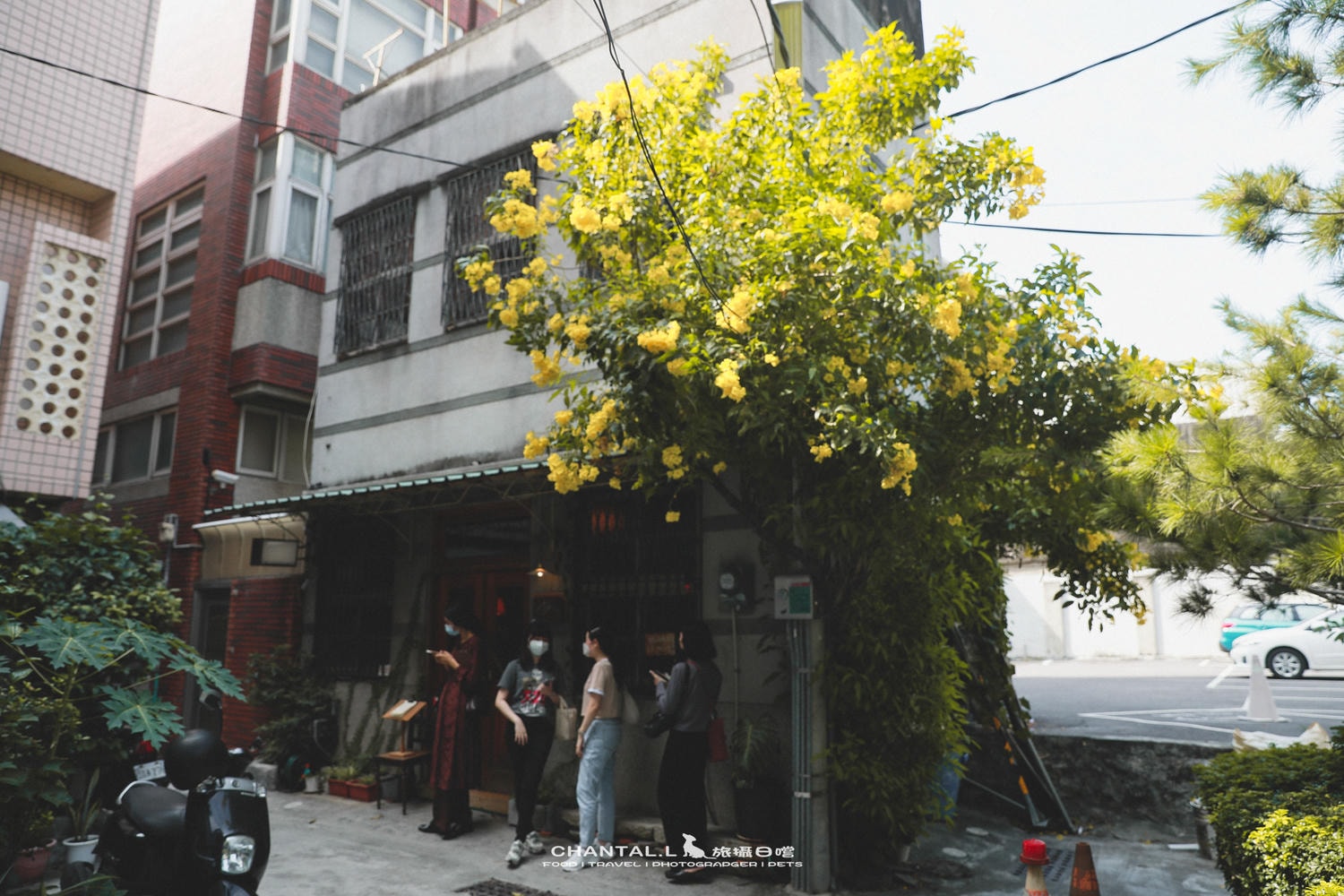 【中西區/咖啡店】排隊也要等的老宅喫茶店-島鹿喫茶